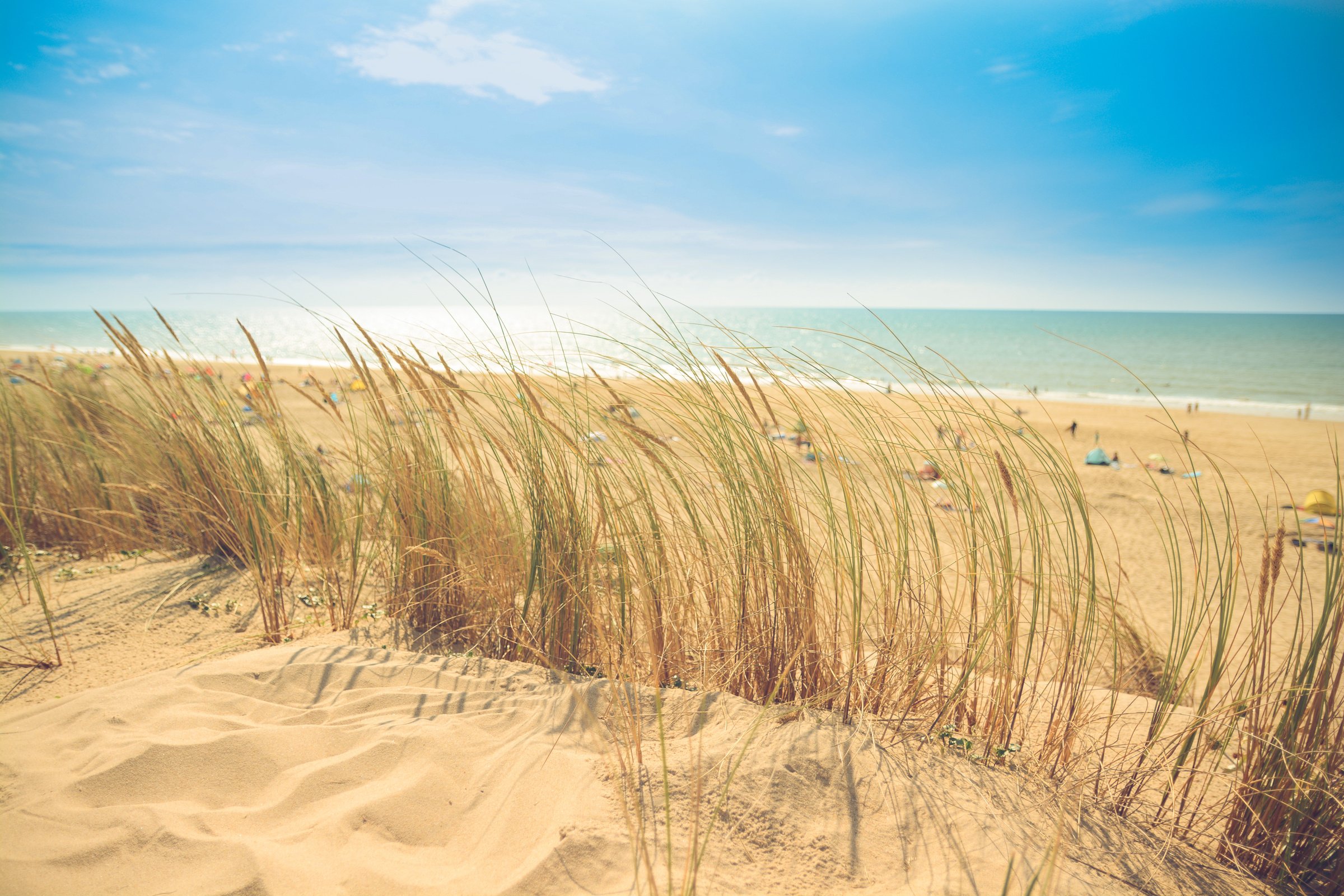 Brown Sand Beach