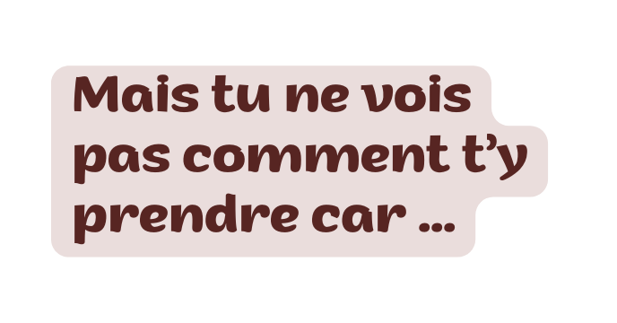 Mais tu ne vois pas comment t y prendre car